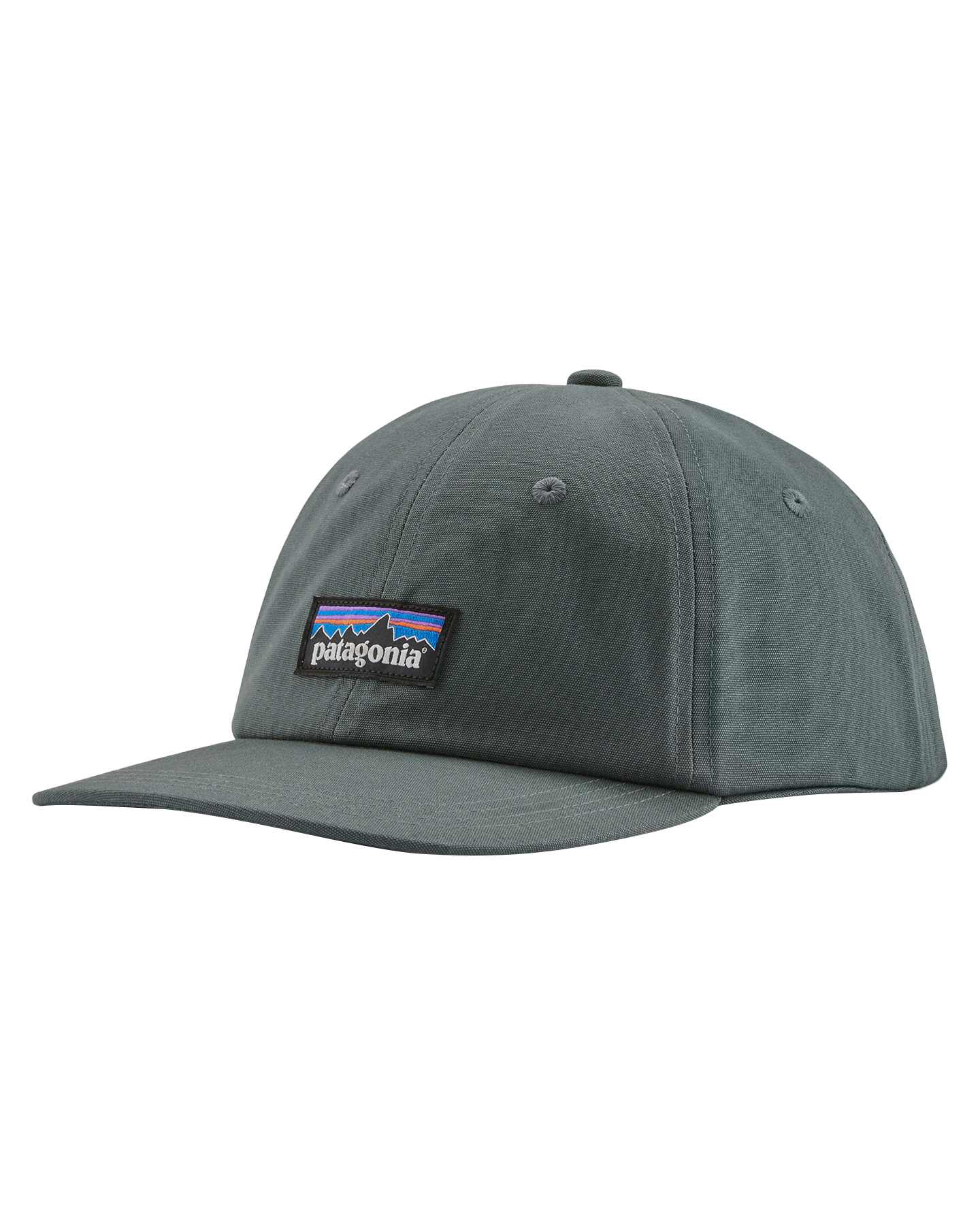 Patagonia P-6 Label Trad Cap - Nouveau Green Hats - SnowSkiersWarehouse