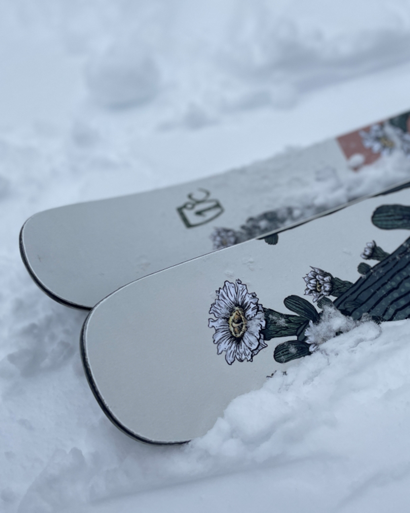 Sale Snow Skis