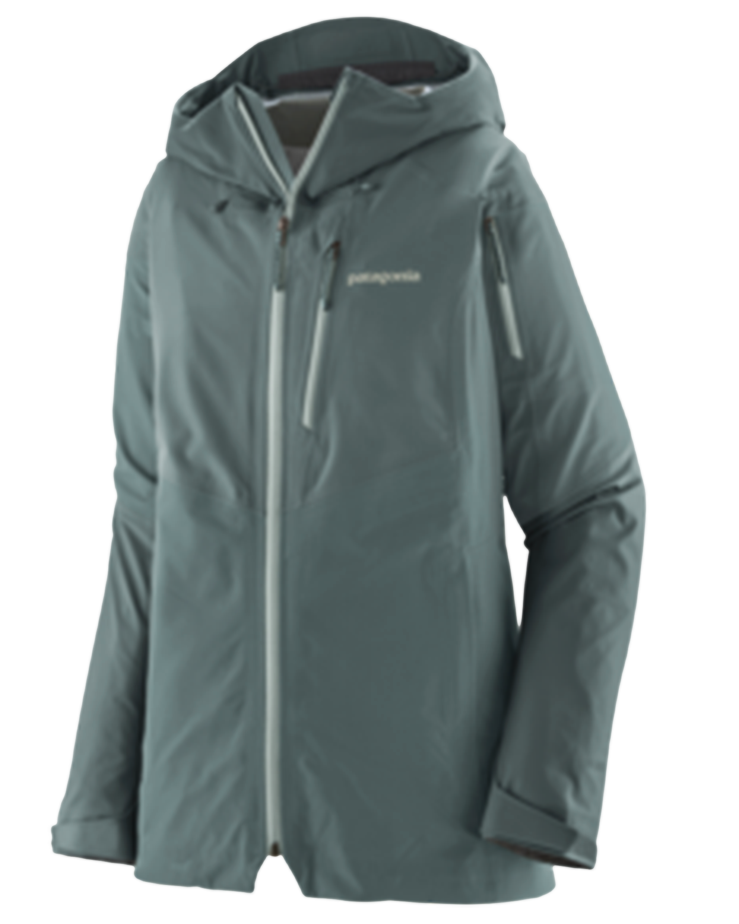 Patagonia Women's Snowdrifter Jacket - Nouveau Green Snow Jackets - Trojan Wake Ski Snow