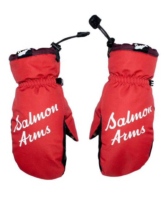 Salmon Arms Team Mitt - Nortons - 2023 Men's Snow Gloves & Mittens - SnowSkiersWarehouse