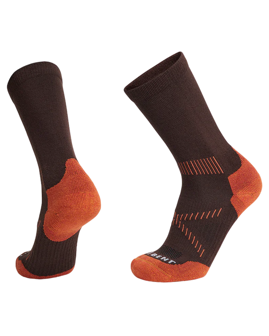Le Bent Light Cushion Crew Hike Sock - Chocolate Torte Men's Socks - Trojan Wake Ski Snow