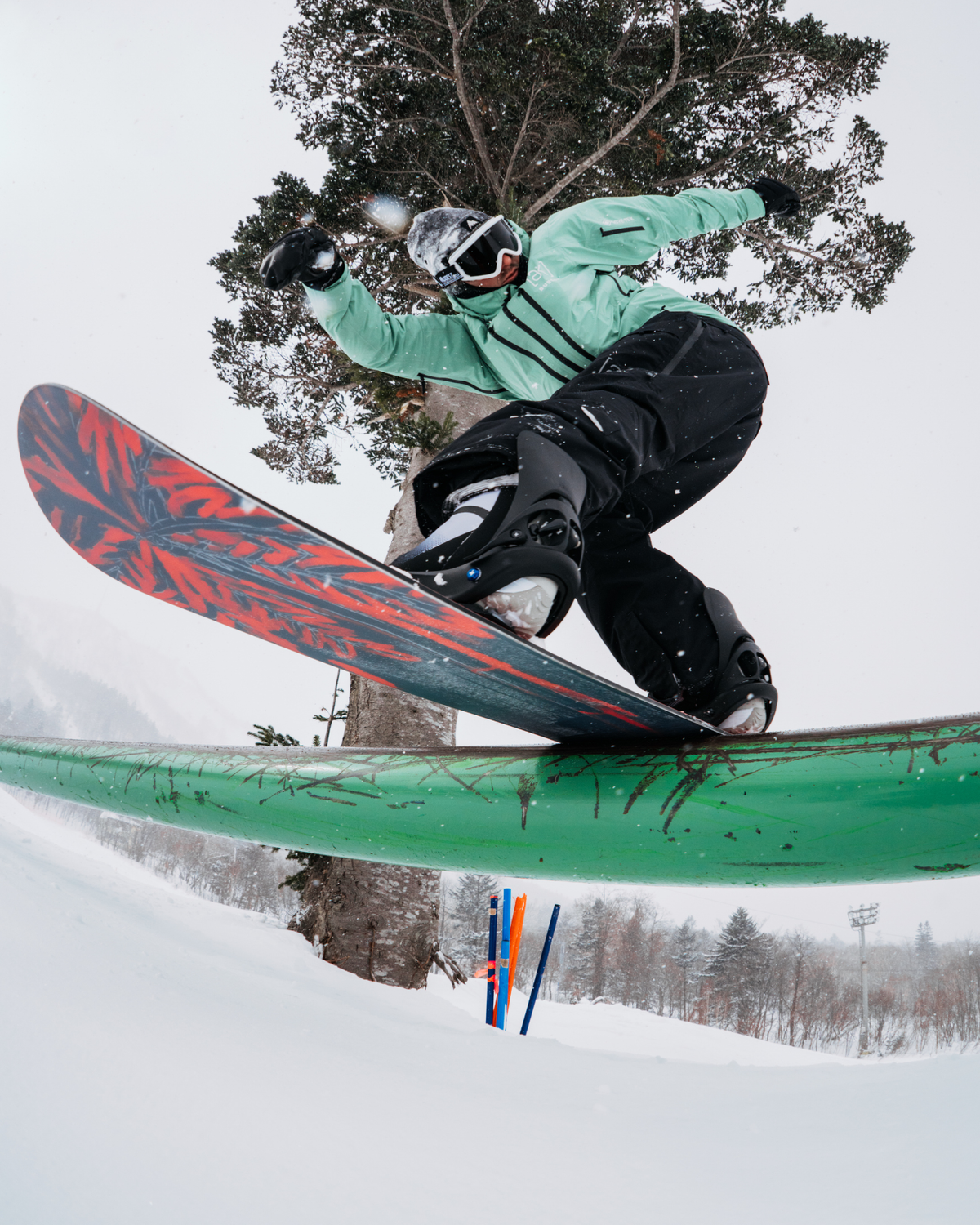 BOARDS