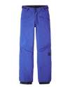 O'Neill Kids' Hammer Pants - Surf The Web Blue Snow Pants - Trojan Wake Ski Snow