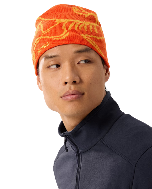 Arc'teryx Bird Head Toque