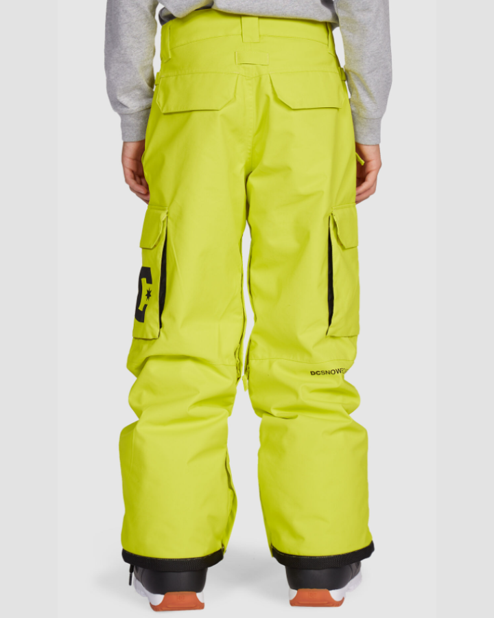 Dc Banshee Youth Pant - Sulphur Spring Snow Pants - Trojan Wake Ski Snow