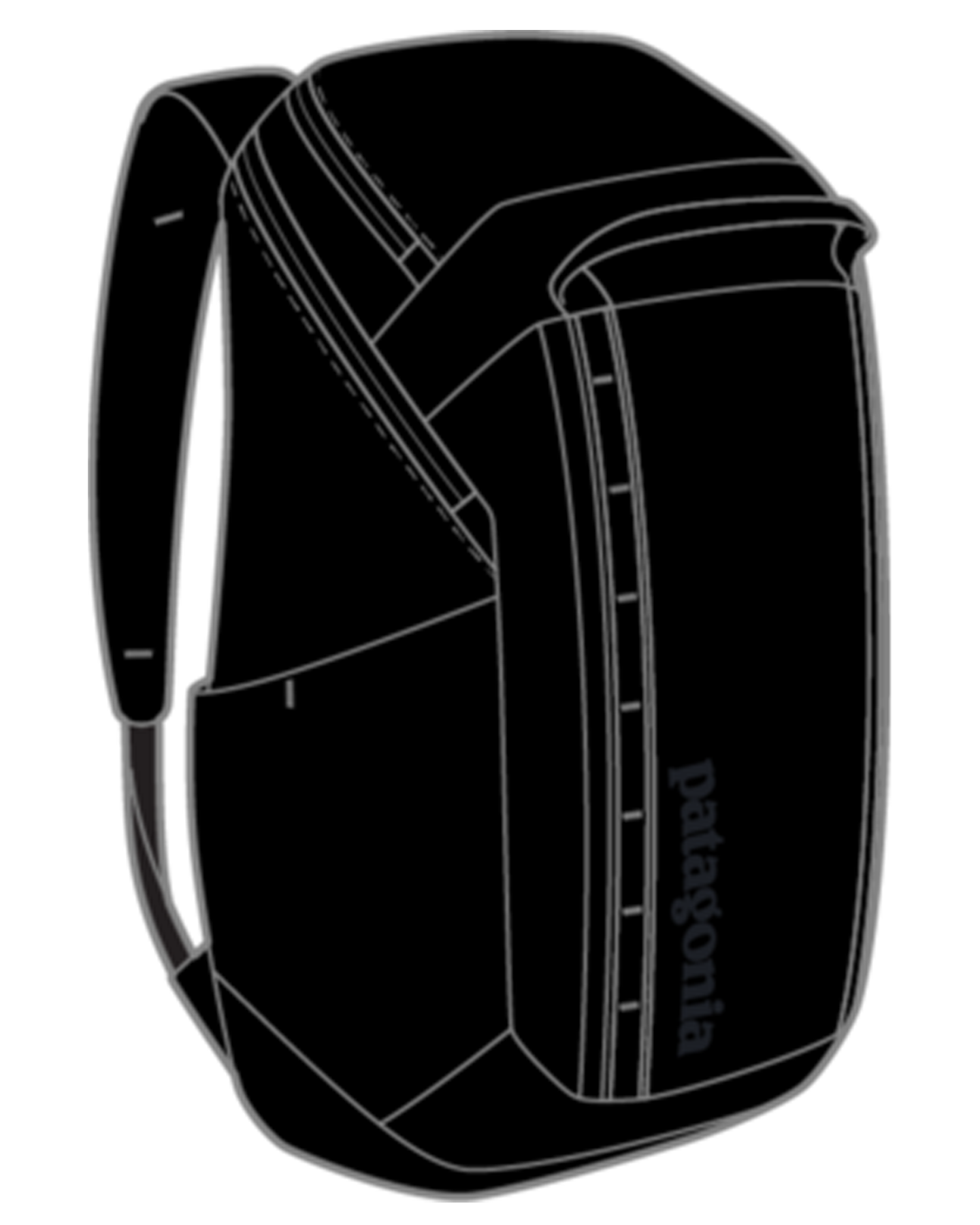 Patagonia Black Hole Pack 32L Black Shop Backpacks at Trojan