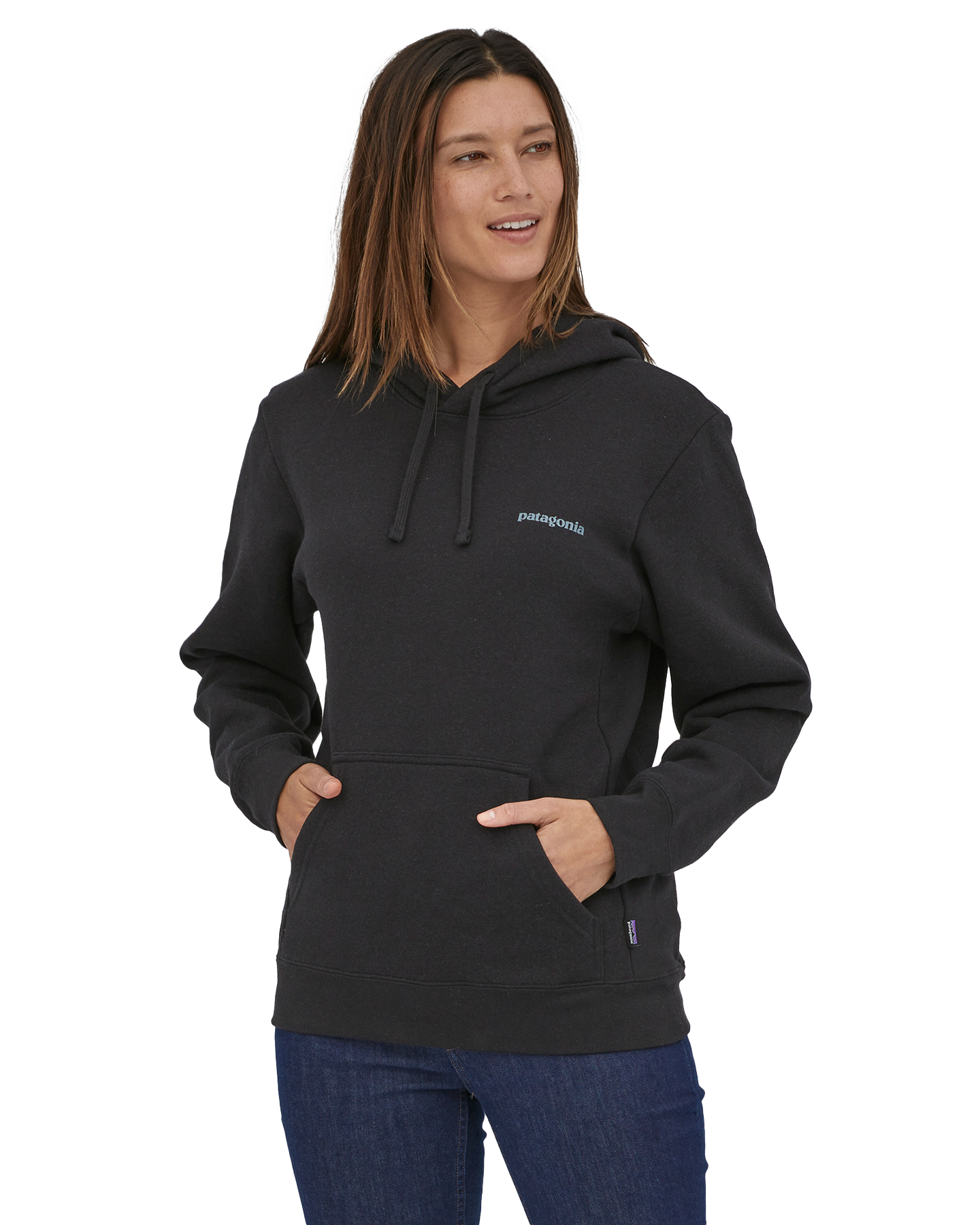 Patagonia Fitz Roy Icon Uprisal Hoodie - Ink Black Hoodies & Sweatshirts - Trojan Wake Ski Snow