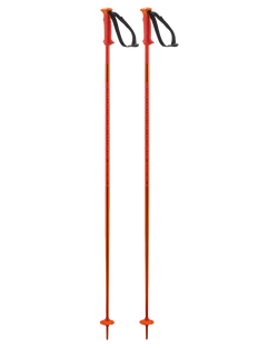 Salomon Polar Ski Poles Ski Poles - Trojan Wake Ski Snow