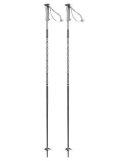 Salomon Polar Ski Poles Ski Poles - Trojan Wake Ski Snow