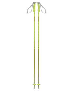 Salomon Polar Ski Poles Ski Poles - Trojan Wake Ski Snow