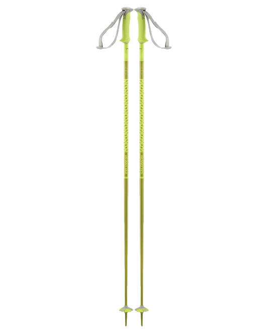 Salomon Polar Ski Poles Ski Poles - Trojan Wake Ski Snow