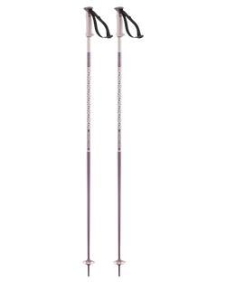 Salomon Polar Ski Poles Ski Poles - Trojan Wake Ski Snow
